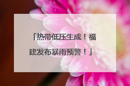 热带低压生成！福建发布暴雨预警！