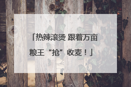 热辣滚烫 跟着万亩粮王“抢”收麦！