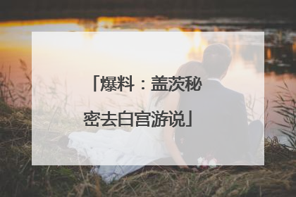 爆料：盖茨秘密去白宫游说
