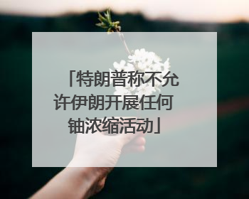 特朗普称不允许伊朗开展任何铀浓缩活动