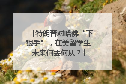 特朗普对哈佛“下狠手”，在美留学生未来何去何从？