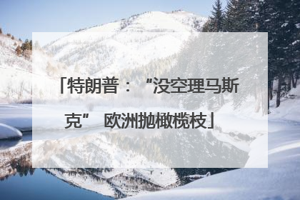 特朗普：“没空理马斯克” 欧洲抛橄榄枝