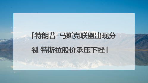 特朗普-马斯克联盟出现分裂 特斯拉股价承压下挫