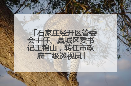 石家庄经开区管委会主任、藁城区委书记王锦山，转任市政府二级巡视员