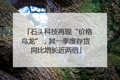 石头科技再现“价格乌龙”，其一季度存货同比增长近两倍