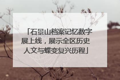 石景山档案记忆数字展上线，展示全区历史人文与蝶变复兴历程