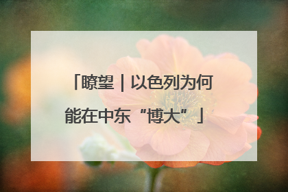 瞭望｜以色列为何能在中东“博大”
