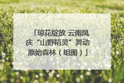琼花绽放 云南凤庆“山野精灵”舞动原始森林（组图）