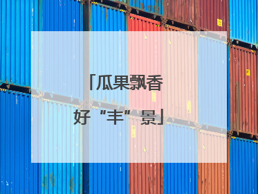 瓜果飘香 好“丰”景