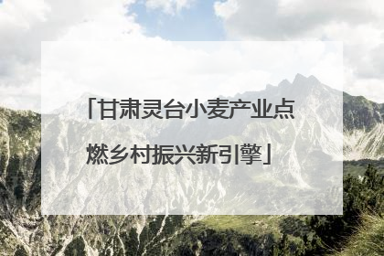 甘肃灵台小麦产业点燃乡村振兴新引擎