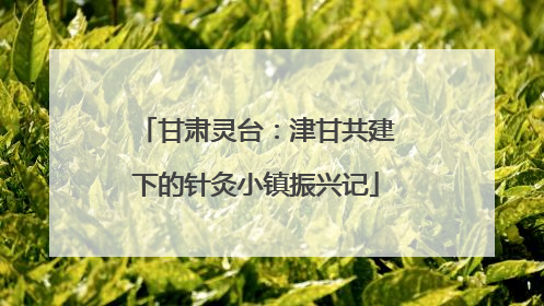 甘肃灵台：津甘共建下的针灸小镇振兴记