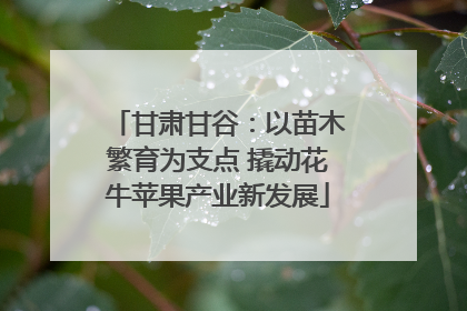 甘肃甘谷：以苗木繁育为支点 撬动花牛苹果产业新发展