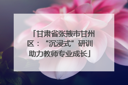 甘肃省张掖市甘州区：“沉浸式”研训助力教师专业成长