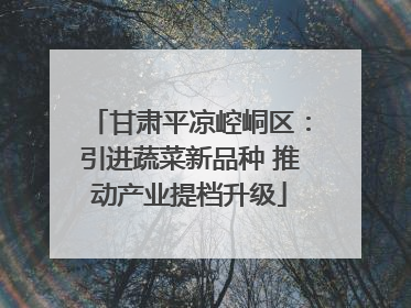 甘肃平凉崆峒区：引进蔬菜新品种 推动产业提档升级