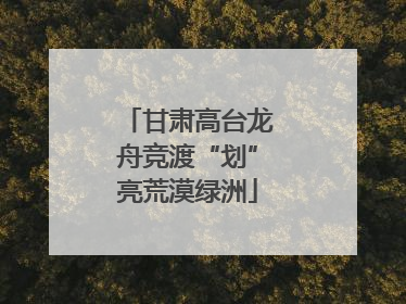 甘肃高台龙舟竞渡“划”亮荒漠绿洲