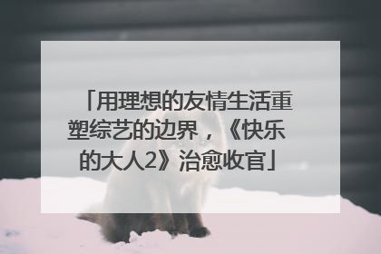 用理想的友情生活重塑综艺的边界，《快乐的大人2》治愈收官