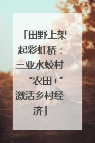 田野上架起彩虹桥：三亚水蛟村“农田+”激活乡村经济