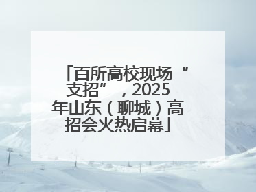 百所高校现场“支招”，2025年山东（聊城）高招会火热启幕