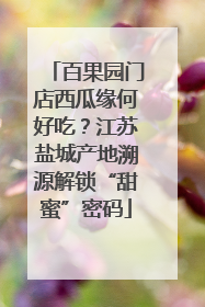 百果园门店西瓜缘何好吃？江苏盐城产地溯源解锁“甜蜜”密码