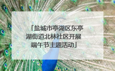 盐城市亭湖区东亭湖街道北林社区开展端午节主题活动
