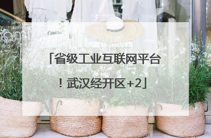 省级工业互联网平台！武汉经开区+2
