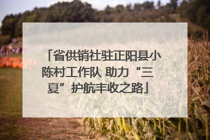 省供销社驻正阳县小陈村工作队 助力“三夏”护航丰收之路