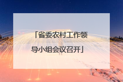 省委农村工作领导小组会议召开