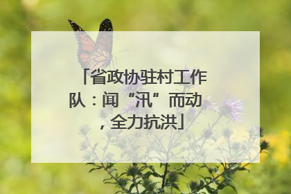 省政协驻村工作队：闻“汛”而动，全力抗洪