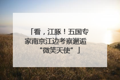 看，江豚！五国专家南京江边考察邂逅“微笑天使”