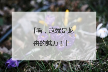 看，这就是龙舟的魅力！