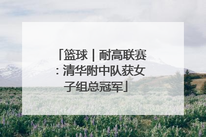 篮球｜耐高联赛：清华附中队获女子组总冠军