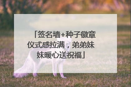 签名墙+种子徽章仪式感拉满，弟弟妹妹暖心送祝福