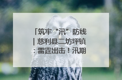 筑牢“汛”防线｜慈利县二坊坪镇：雷霆出击！汛期捕鱼被紧急叫停