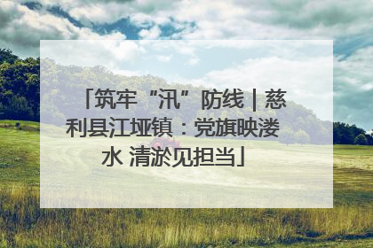 筑牢“汛”防线｜慈利县江垭镇：党旗映溇水 清淤见担当