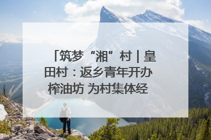 筑梦“湘”村｜皇田村：返乡青年开办榨油坊 为村集体经济“加油”