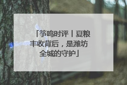 筝鸣时评丨夏粮丰收背后，是潍坊全城的守护
