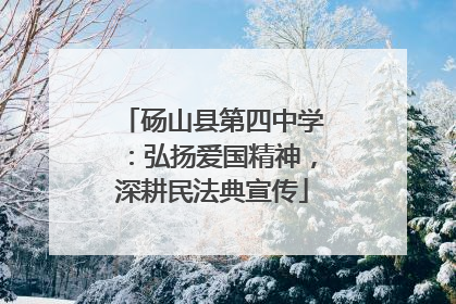 砀山县第四中学：弘扬爱国精神，深耕民法典宣传