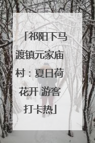 祁阳下马渡镇元家庙村：夏日荷花开 游客打卡热