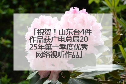 祝贺！山东台4件作品获广电总局2025年第一季度优秀网络视听作品
