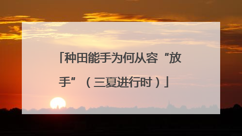 种田能手为何从容“放手”（三夏进行时）