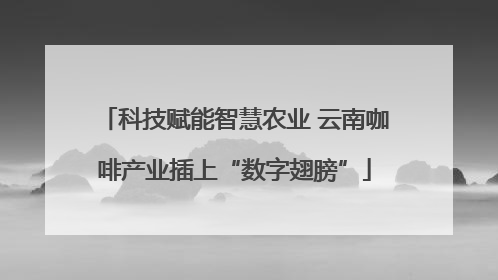 科技赋能智慧农业 云南咖啡产业插上“数字翅膀”