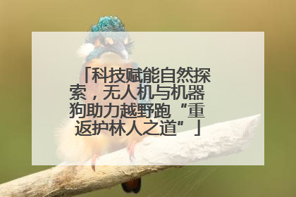 科技赋能自然探索，无人机与机器狗助力越野跑“重返护林人之道”