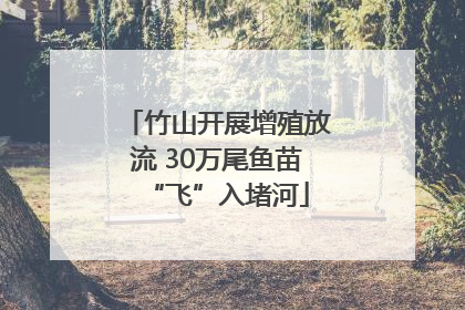 竹山开展增殖放流 30万尾鱼苗“飞”入堵河