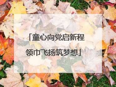 童心向党启新程 领巾飞扬筑梦想