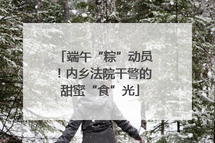 端午“粽”动员！内乡法院干警的甜蜜“食”光
