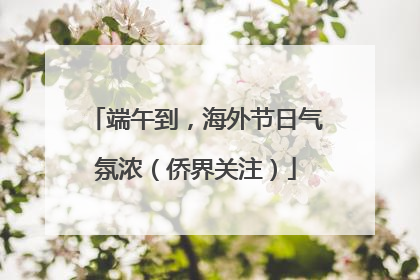 端午到，海外节日气氛浓（侨界关注）