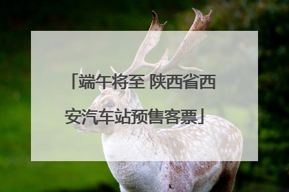 端午将至 陕西省西安汽车站预售客票