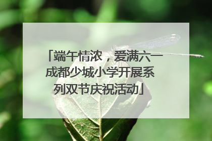 端午情浓，爱满六一 成都少城小学开展系列双节庆祝活动