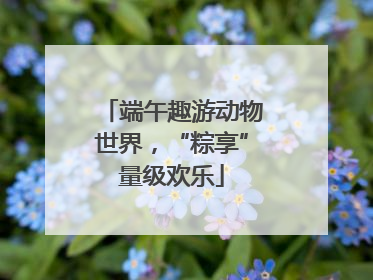 端午趣游动物世界，“粽享”量级欢乐