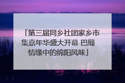 第三届同乡社团家乡市集嘉年华盛大开幕 巴蜀情缘中的绵阳风味